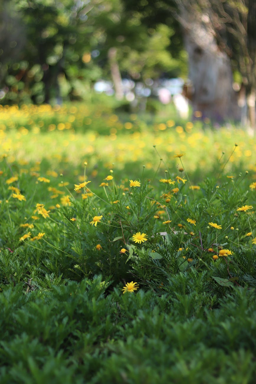잠긴 글: 그새 봄이&nbsp;왔구나