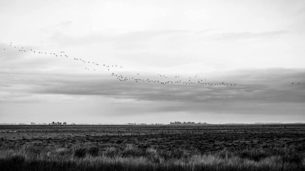 잠긴 글: 사상이 없는 곳에서 철학을 한다는&nbsp;것