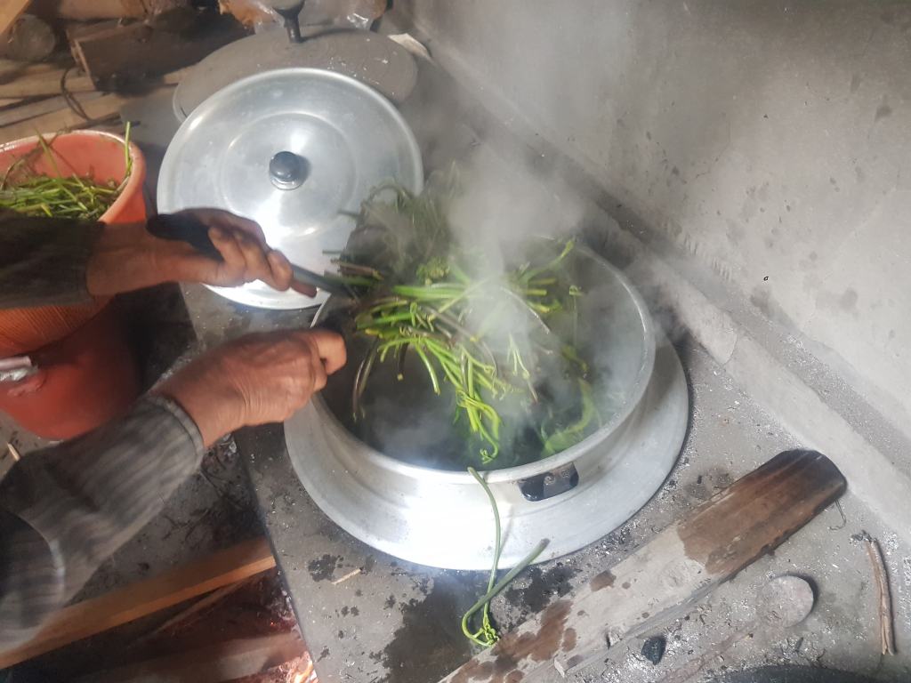 잠긴 글: 고사리를 따러&nbsp;가다