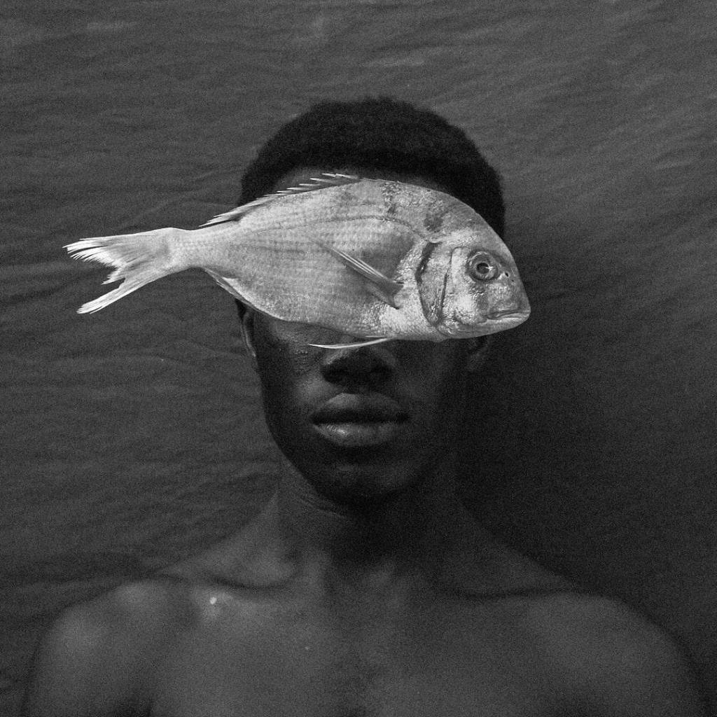 차라리 격정을 드러내라