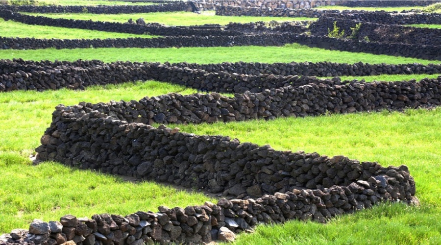 어쩌면 한국이 이제 제주가 되어가는지도&nbsp;모르겠다.