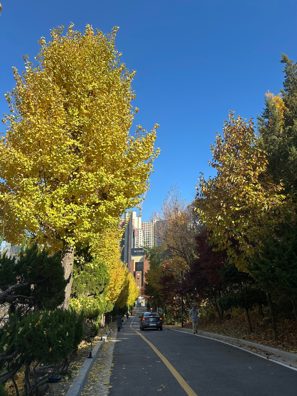 존재자의 개방성