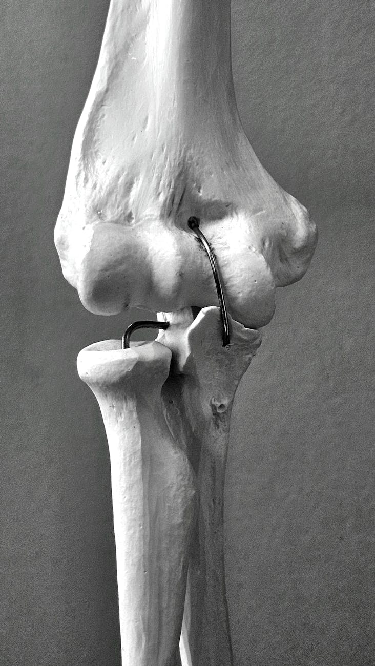 ‘구조’는 살아 있다