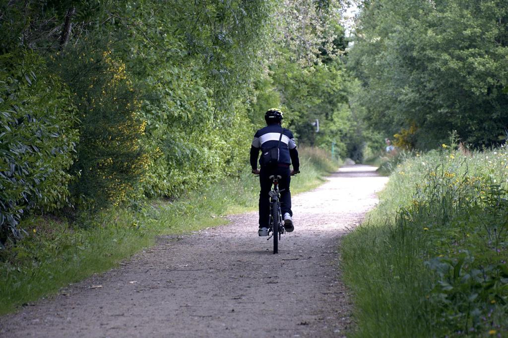 사유는 문헌을 넘어서는 자리에&nbsp;있다