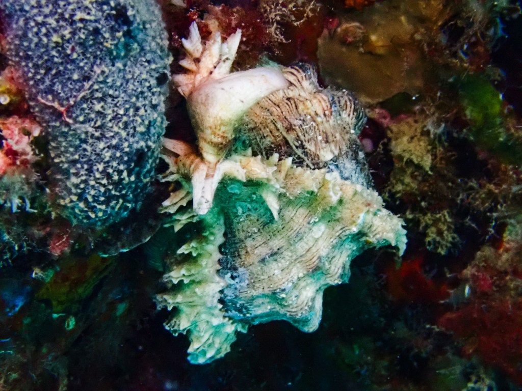 잠긴 글: 트레이딩 시스템&nbsp;단상