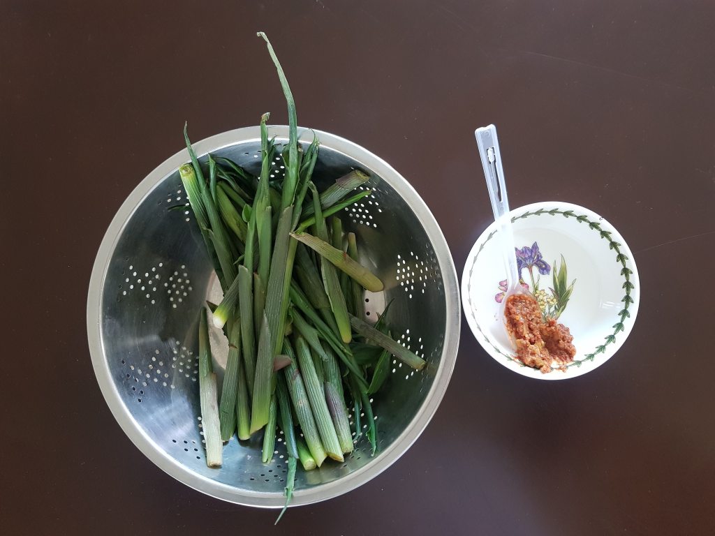 잠긴 글: 고향에서 올라온&nbsp;향내음