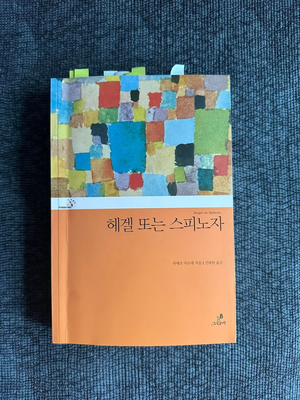 스피노자, 헤겔을 통해&nbsp;논박하다