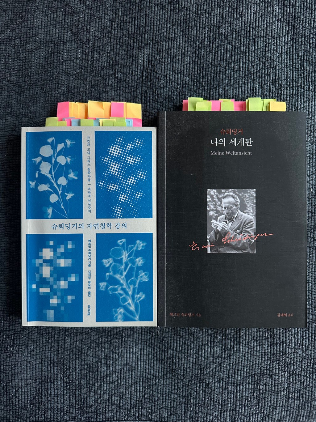 슈뢰딩거의 실재 세계