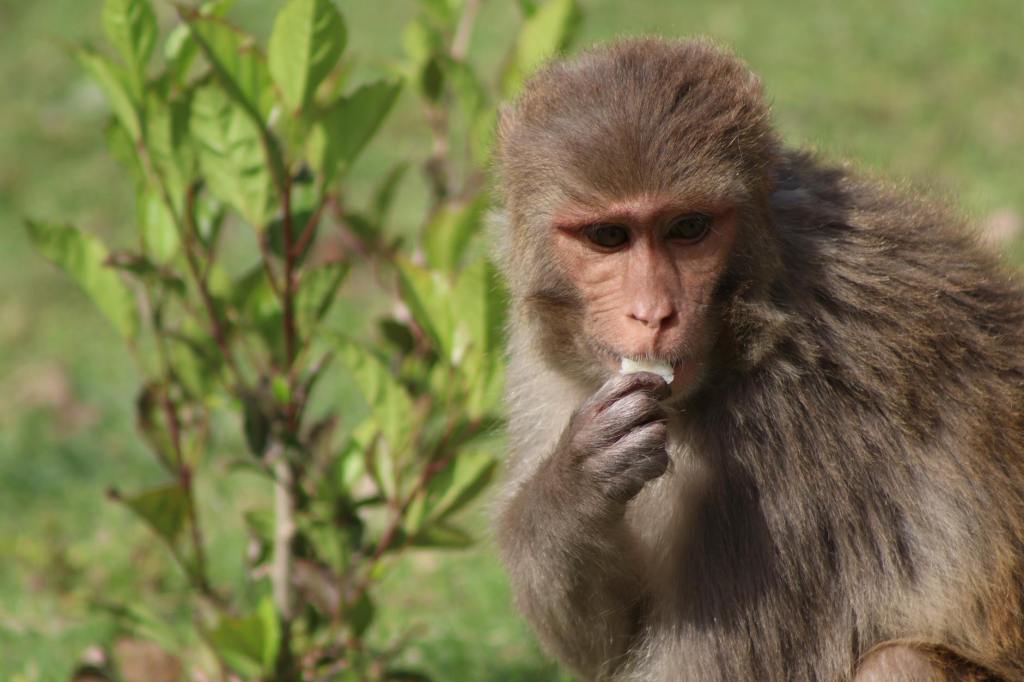 잠긴 글: 인간적인 너무나&nbsp;인간적인