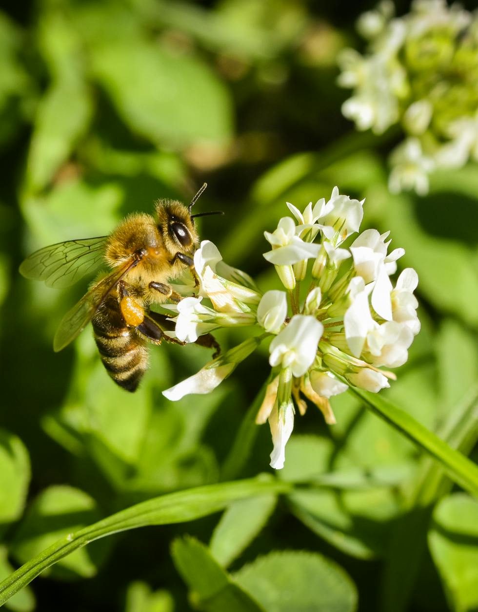 잠긴 글: 공동 개체화의&nbsp;파트너