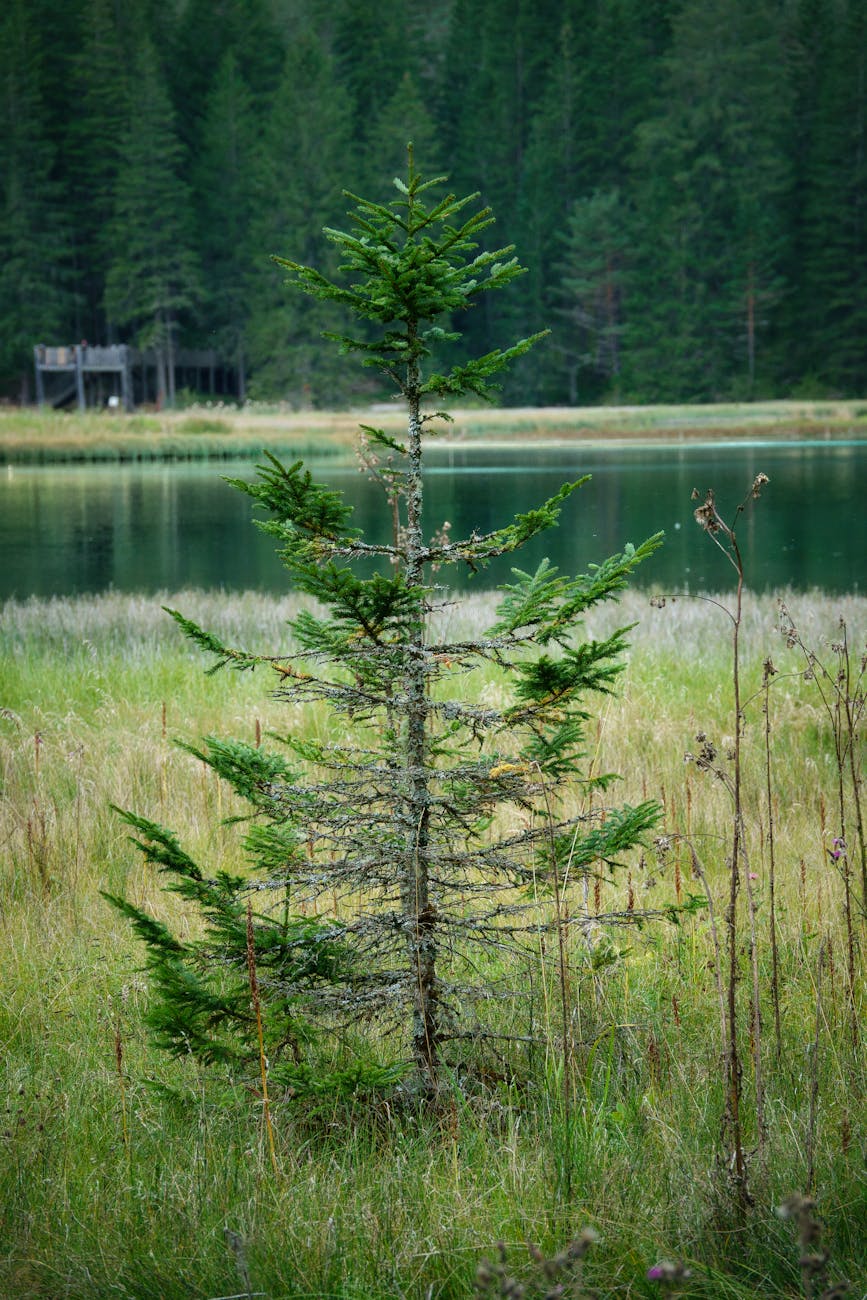 잠긴 글: 감추어진 정신, 교차하는&nbsp;존재들