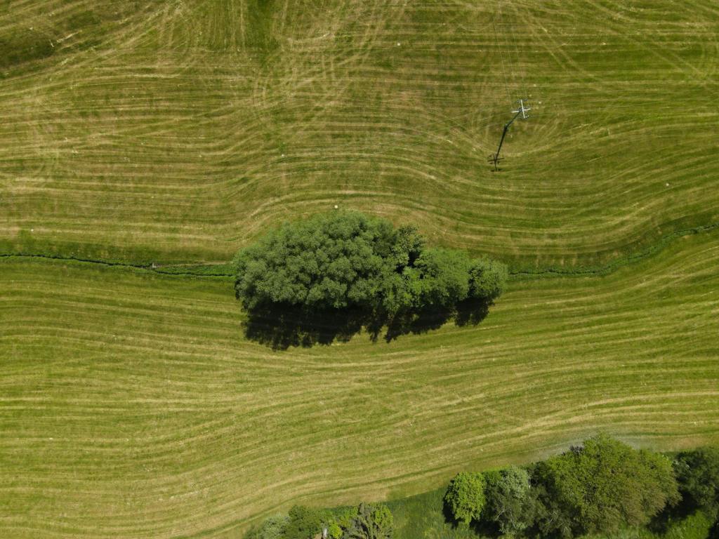 잠긴 글: 위치가 환상과 기대를&nbsp;만든다