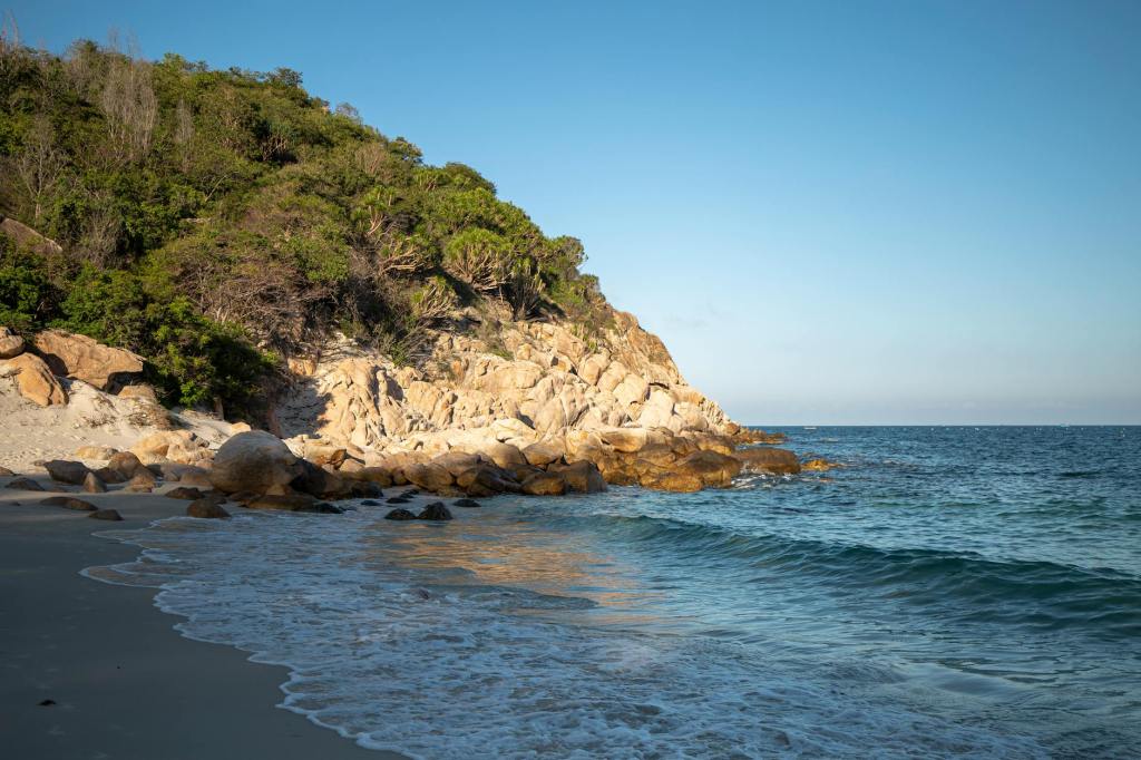 잠긴 글: 로빈슨, 새로운 타자를&nbsp;발명하다