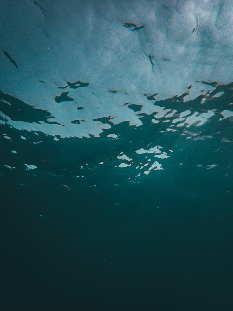 믿어야 의심할 수&nbsp;있다