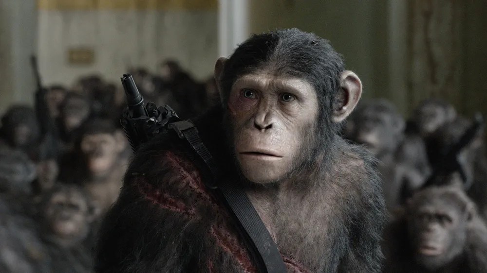 잠긴 글: 철학자-원숭이&nbsp;시저