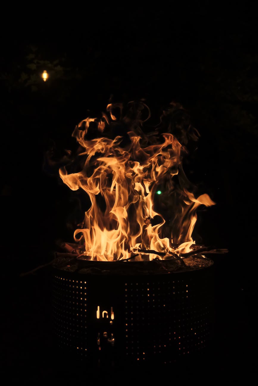 드럼통 불빛과 셀럽-작가의&nbsp;환영