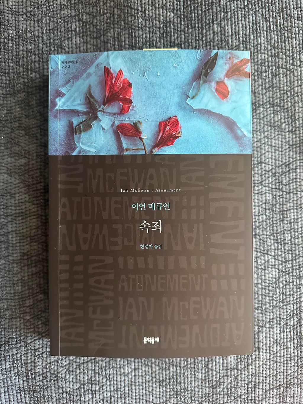 브라이오니의 기만, 문학의&nbsp;진실